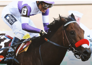 Race winner Nyquist. Photo: KentuckDerby.com